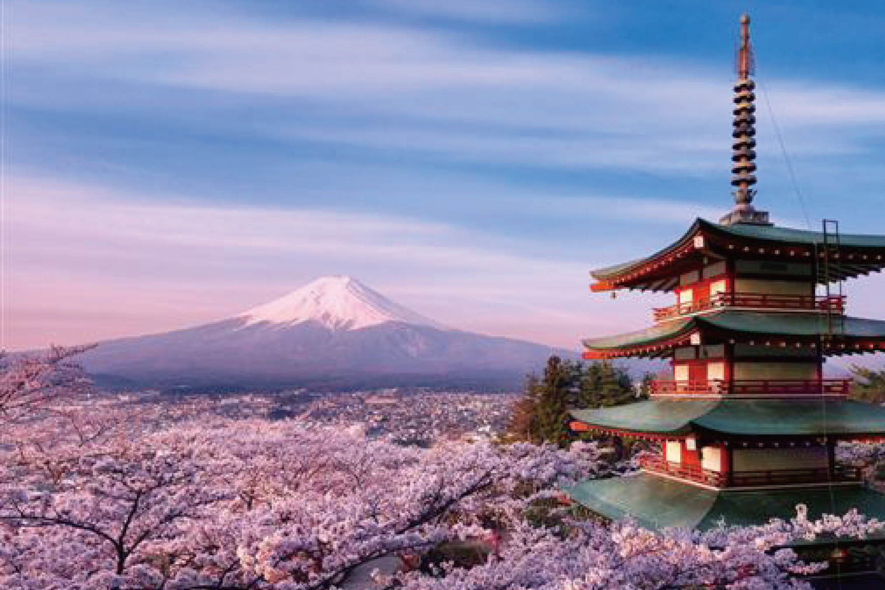 日本富士山求婚